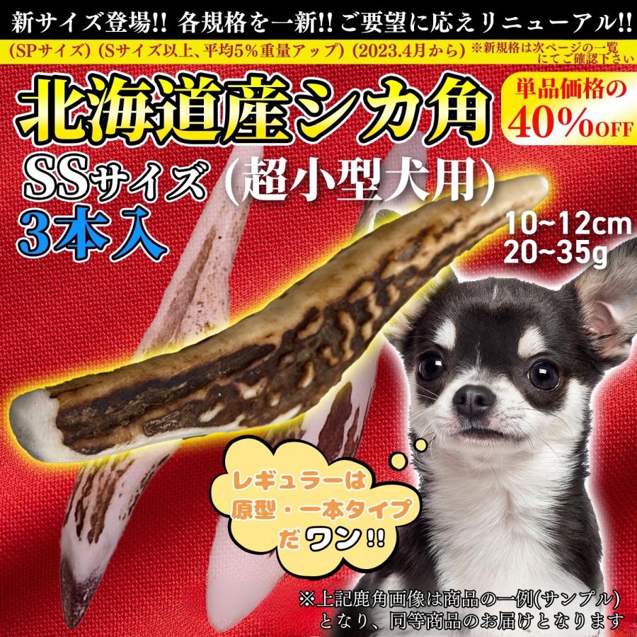 One way 鹿の角 SSサイズ『ガリッとホーンレギュラー（一本物）超小型