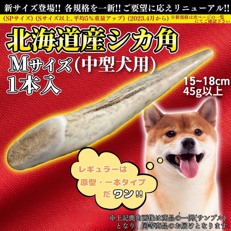 One way 鹿の角 Mサイズ『ガリッとホーンレギュラー（一本物）中型犬用