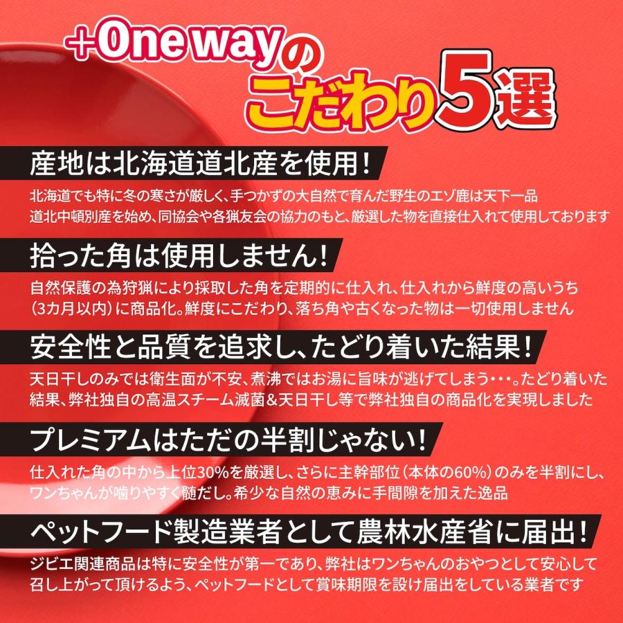 One way 鹿の角 Mサイズ『ガリッとホーンレギュラー（一本物）中型犬用