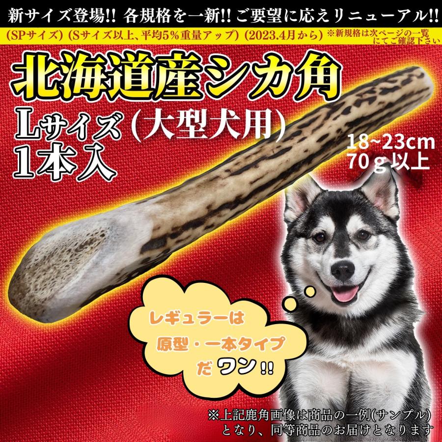 One way 鹿の角 Lサイズ『ガリッとホーンレギュラー（一本物）大型犬用