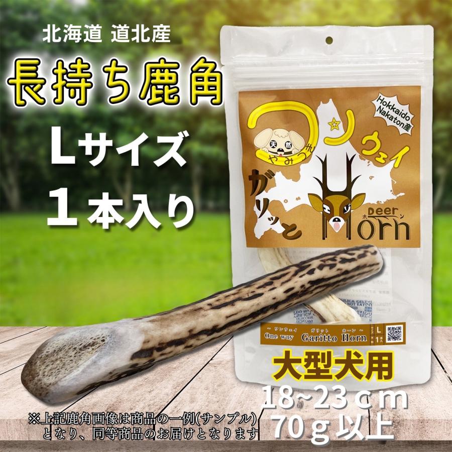 週末限定値下げ‼️（天然）北海道道北産　鹿の角　（エゾシカ　大きめ角）　8本セット 週末限定値下げ‼️（天然）北海道道北産 鹿の角 （エゾシカ