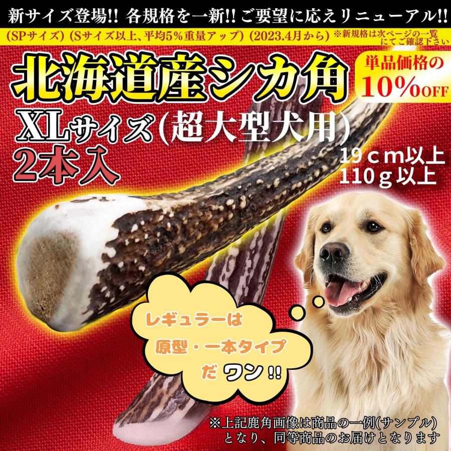 One way 鹿の角 XLサイズ『ガリッとホーンレギュラー（一本物）超大型