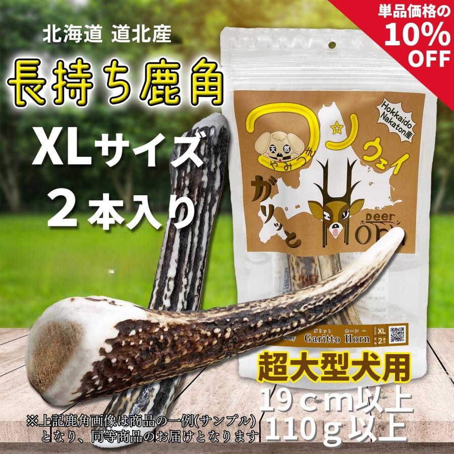 One way 鹿の角 XLサイズ『ガリッとホーンレギュラー（一本物）超大型