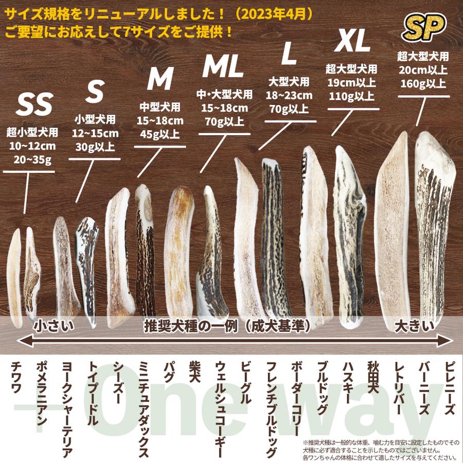One way 鹿の角 XLサイズ『ガリッとホーンレギュラー（一本物）超大型