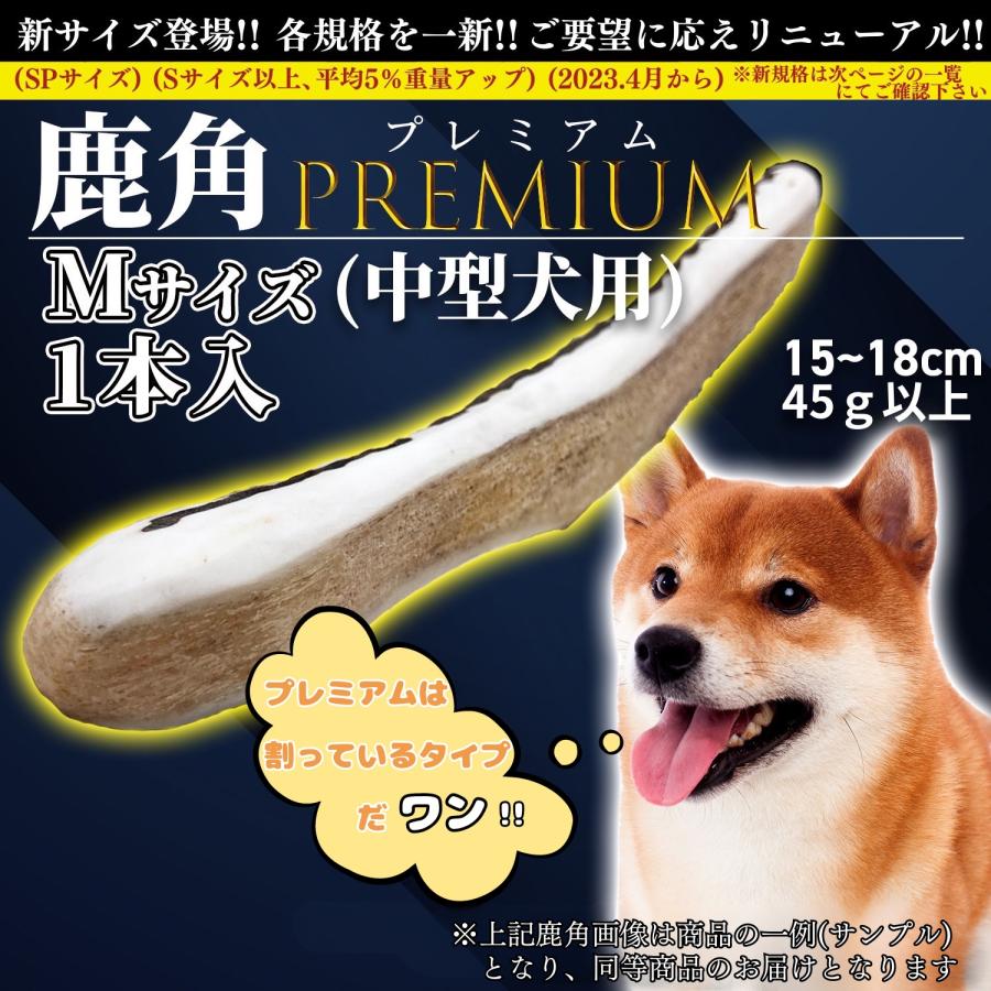 One way 鹿の角 Mサイズ『ガリッとホーンプレミアム（半割り）中型犬用 