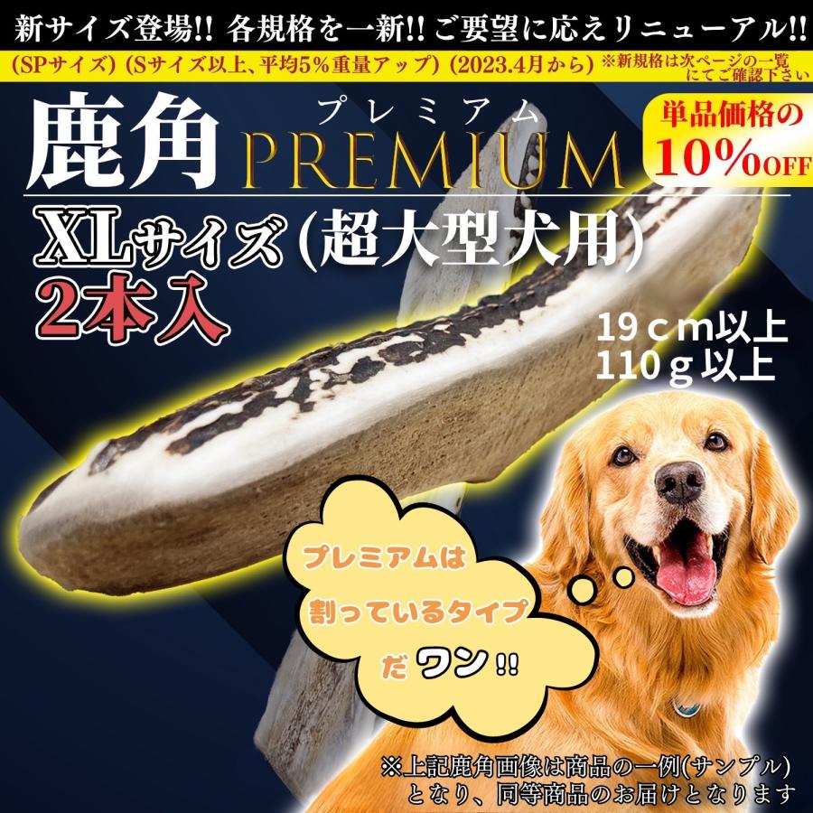 【お得‼️】鹿の角【6本セット】 楽天市場】【楽天1位】送料無料 鹿の角ドリンク ゴールド10本セット 鹿