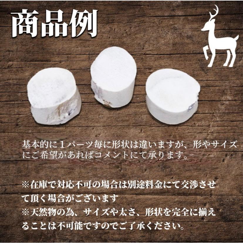 鹿の角 ハンドメイド用パーツ 輪切り(研磨加工)ランダム3個 鹿の角 ハンドメイド用パーツ 輪切り(研磨加工)ランダム3個