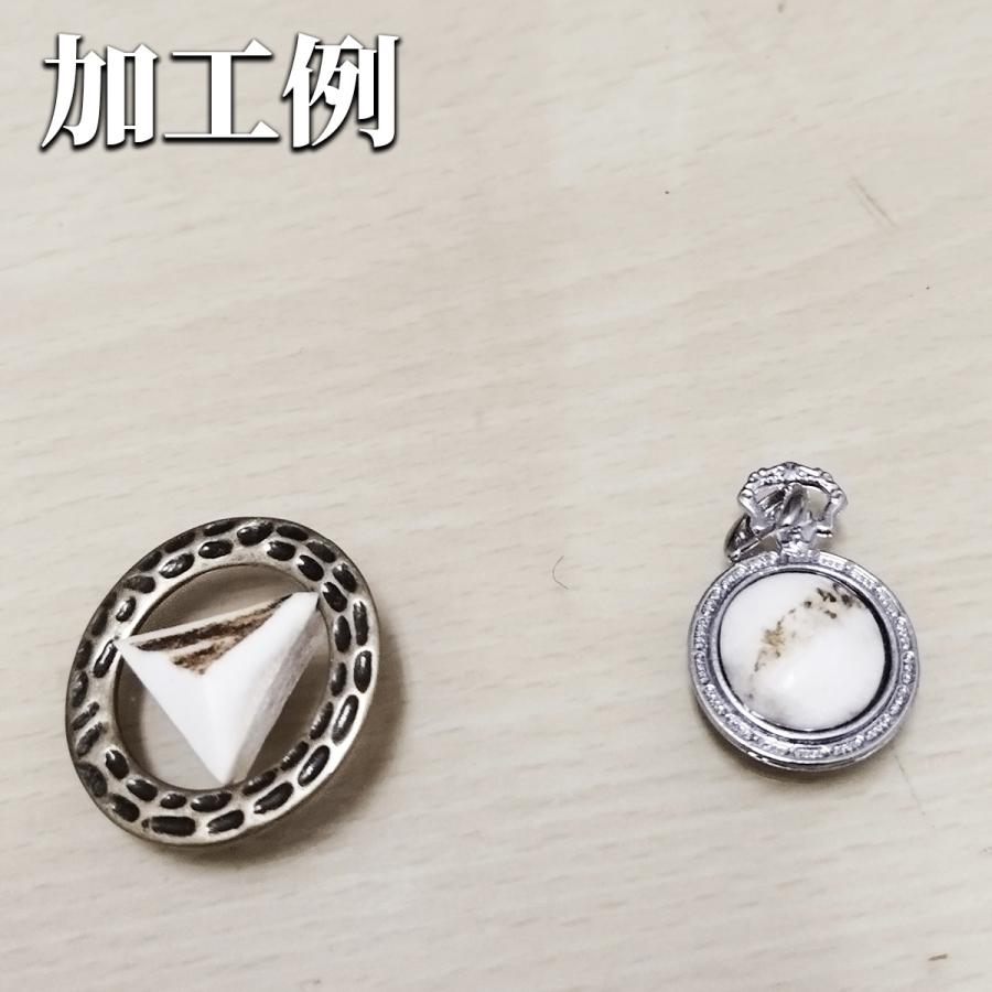 鹿の角 ハンドメイド用パーツ 輪切り(研磨加工)ランダム3個 鹿の角 ハンドメイド用パーツ 輪切り(研磨加工)ランダム3個