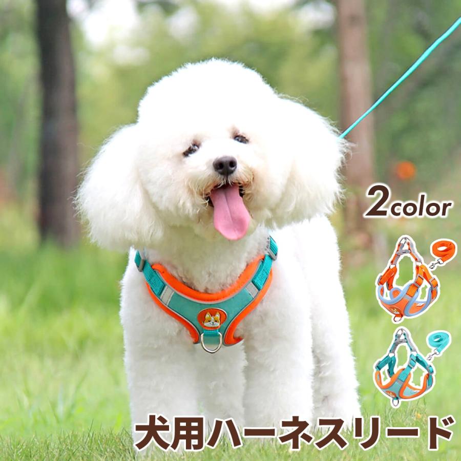 チープ30ハーネス リードセット オレンジ 犬 ペット用 猫 M お散歩 犬用品 30ハーネス リードセット オレンジ M 犬 猫 ペット用 お散歩