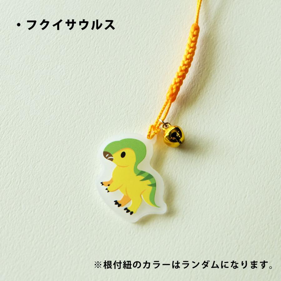 アクリル製 福井県の恐竜根付 6点セット : WORKSHOP PLUS SOLO - 通販 