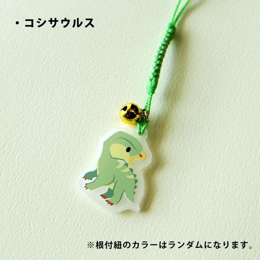 アクリル製 福井県の恐竜根付 6点セット : WORKSHOP PLUS SOLO - 通販