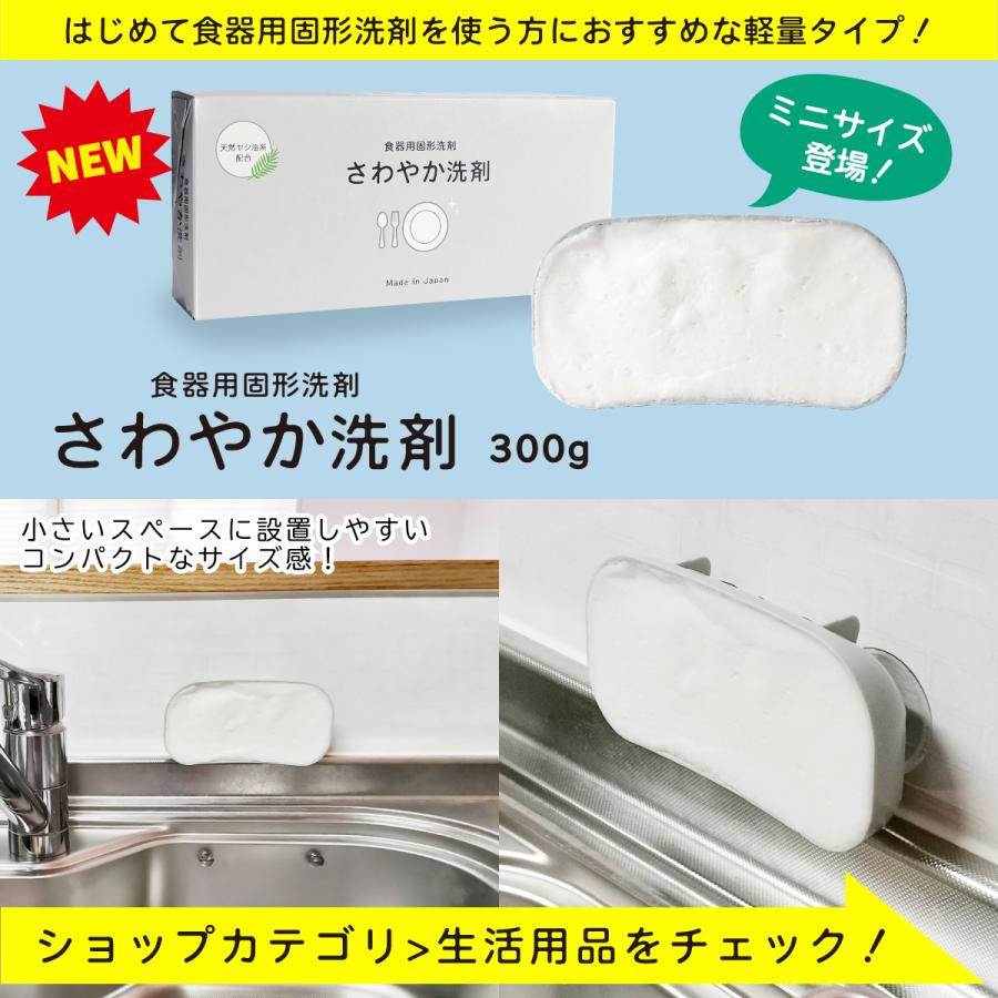 3個セット】固形タイプ台所洗剤 さわやか洗剤 580g : WORKSHOP PLUS