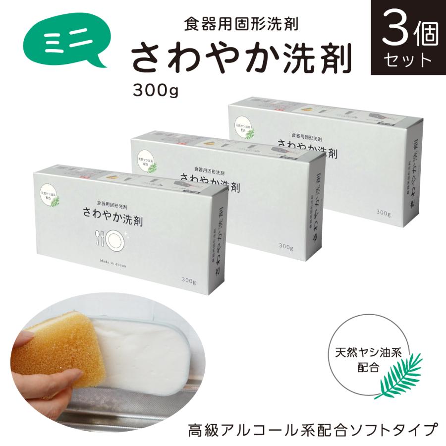 3個セット】固形タイプ台所洗剤 ミニ さわやか洗剤 300g : WORKSHOP