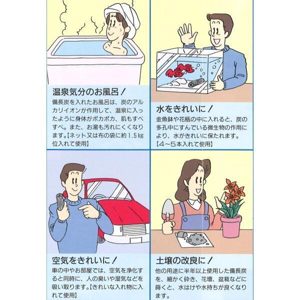 健康用備長炭 炭 水 浄水 浄化 健康 お風呂 入浴 | 増田屋 | 04