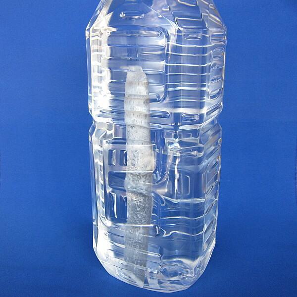 ミネラル水用 備長炭パック 5本入 炭 水 浄水 浄化 健康 飲料 おいしい | 増田屋 | 01