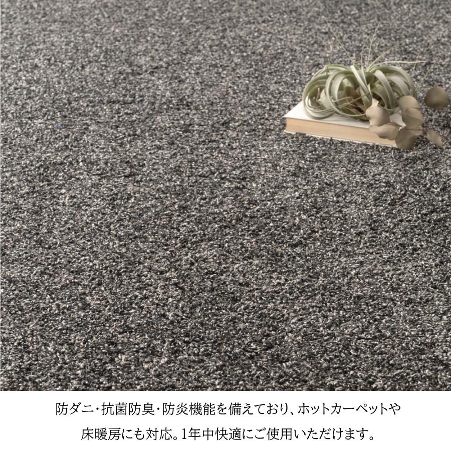 ラグ カーペット 190×240cm 約2.5畳 国産 日本製 シャギーラグ マット 防ダニ 抗菌 防臭 防炎 床暖房対応 絨毯 敷物 おしゃれ ホットカーペット対応 リビング