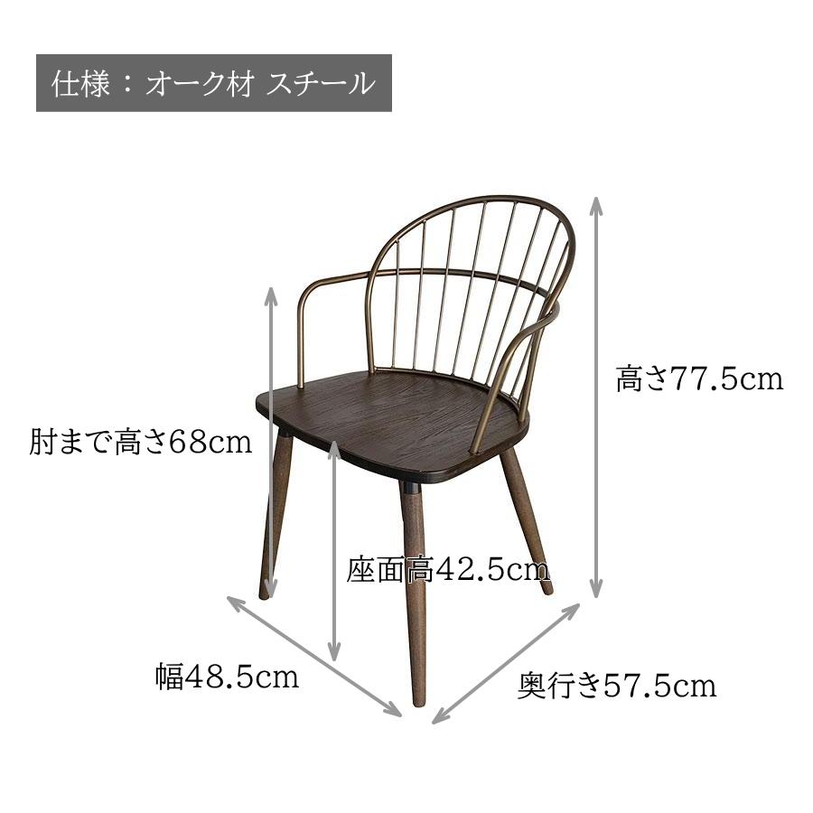 チェアー チェア ダイニングチェア デスクチェア 椅子 イス いす