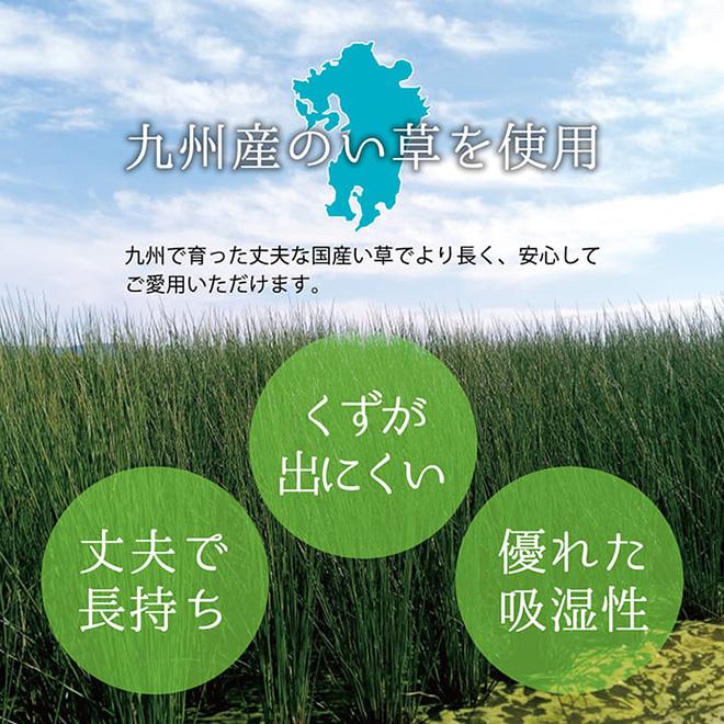 上敷き ゴザ 敷詰 カーペット い草 自然素材 日本製 国産 消臭 抗菌防臭 麻の葉 レトロ 和 ベージュ 江戸間3畳 約174×261cm《os》