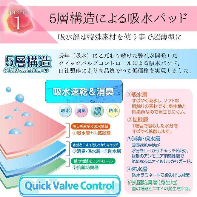 2色セット】吸水ショーツ 尿もれ 失禁パンツ 女性用 失禁ショーツ 尿