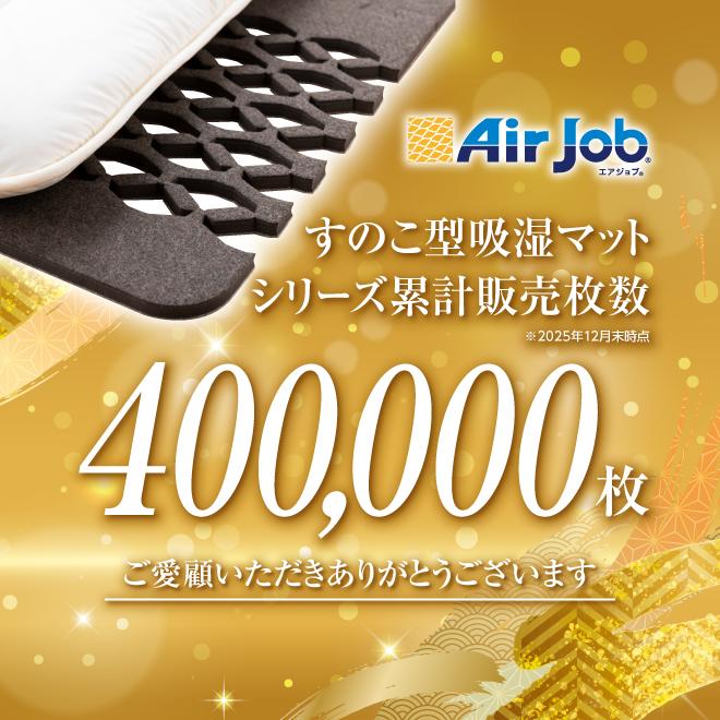 爆買 2セット 厚さ約3cm 除湿マット 除湿シート シングル 日本製 極厚