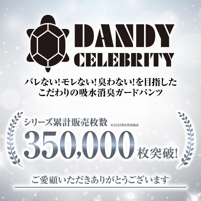 ポイント5倍 3枚組 失禁パンツ 男性用 ボクサーパンツ 吸水パンツ