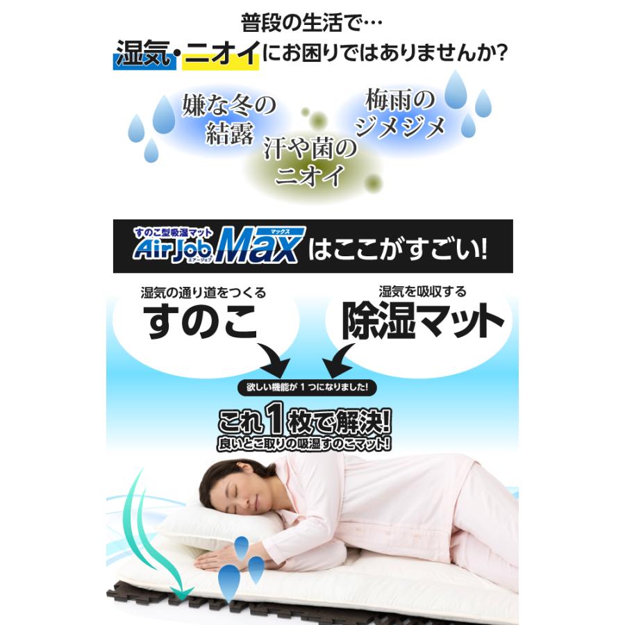 爆買 2個 すのこ型 吸湿マット 湿気 消臭 抗菌防臭 エアジョブ AirJob