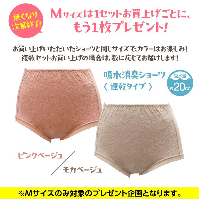 Mサイズはもう1枚プレゼント☆】 ポイント5倍 2色 失禁 レディース 