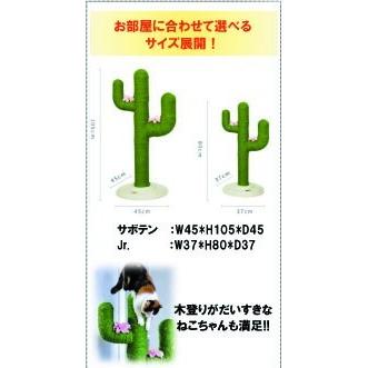 ペットアイ 爪とぎタワー サボテン ジュニア 84 244 Os プラスワンショップ 通販 Yahoo ショッピング