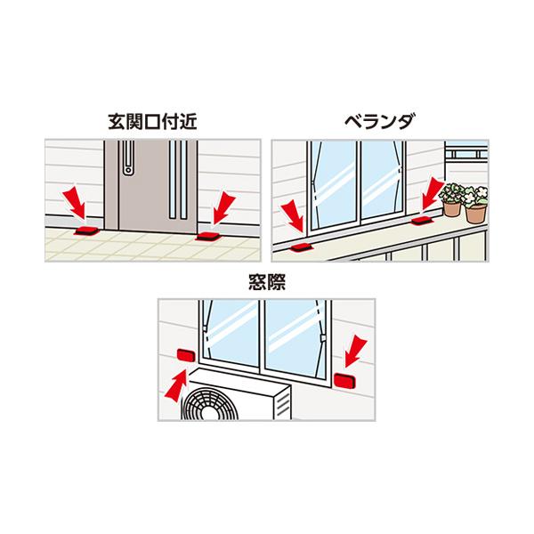 ゴキブリ誘引殺虫剤 コンバット/玄関・ベランダ用  EA941-121A EA941-121A エスコ ESCO |  | 01