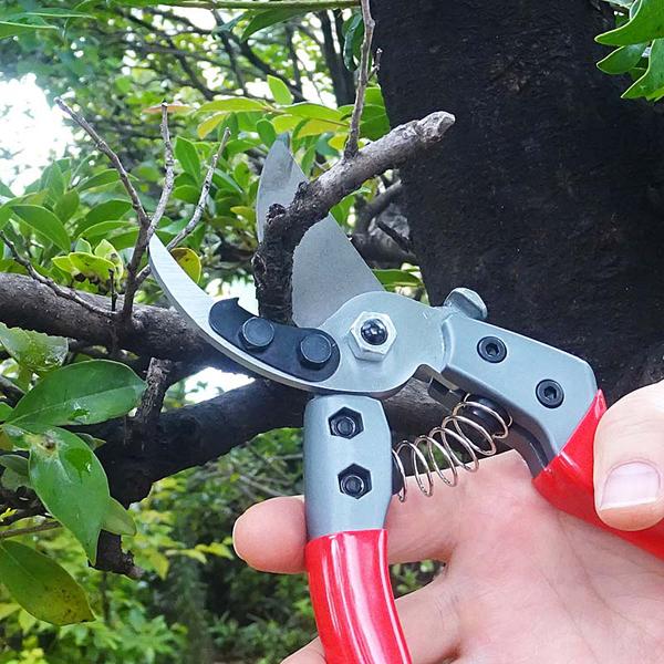 浅香工業 FG 強力剪定鋏 8インチ 刃渡り55mm #192437 |  | 02