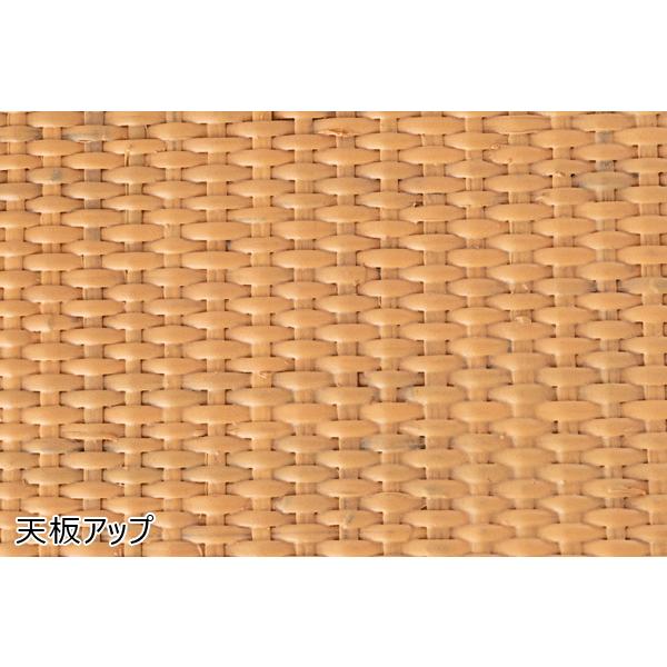 直送品 東谷 マガジンラック付きサイドテーブル 50×30cm 高さ50cm ナチュラル GUY-262NA | 東谷 | 11