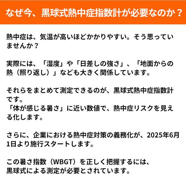RABLISS 黒球式熱中症指数計 KO392 |  | 03