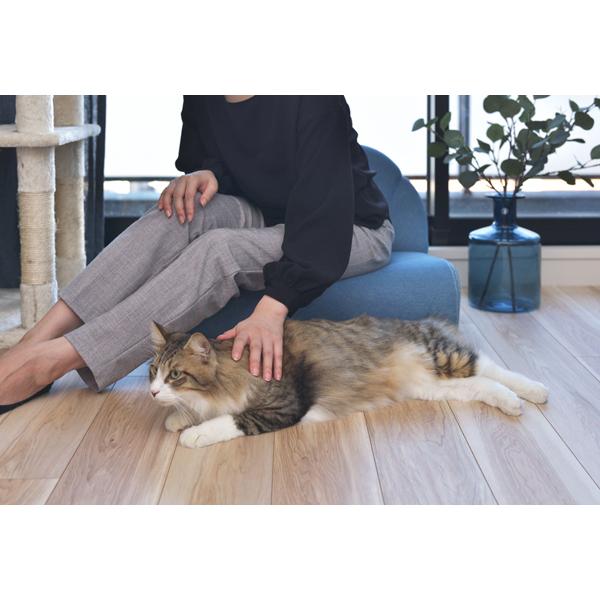 直送品 東谷 ペット ソファ 幅59cm 奥行50cm 高さ40×SH18cm ブルー PET-65 | 東谷 | 05