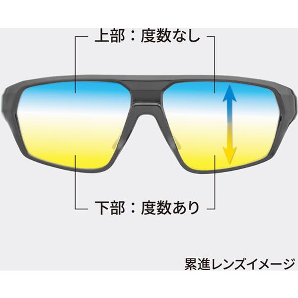 リーディンググラス 遠近両用リーディンググラス+2.5 タジマツール Tajima RG-B25 |  | 02