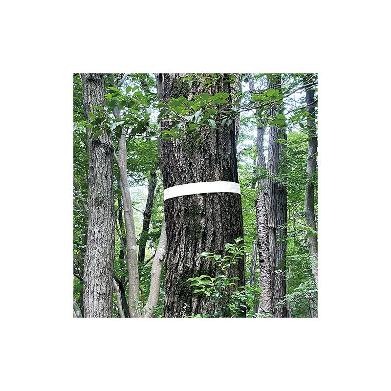 シンワ測定 マーキングテープ 30mm×50m ホワイト 74126 | シンワ（工具） | 02