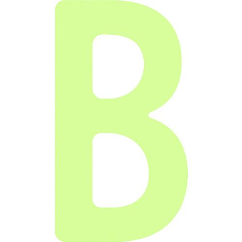 IM 非常用標識 中輝度蓄光カッテイング文字 英字 B 粘着シール 50×27mm AILUMI50-B | 