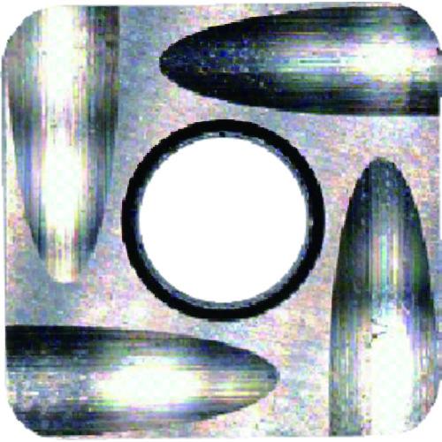 富士元 座ぐりカッターフェイス加工用Sタイプ精密級チップ NK2001 12個 S32GUR:NK2001 | 