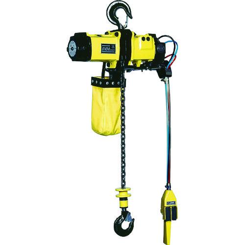 (送料別途)(直送品)ENDO エアーホイスト EHL95S PCS-2 EHL95S PCS-2 | 