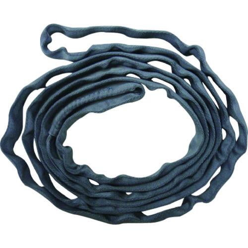 (送料別途)(直送品)TESAC ブルースリングソフトN形(エンドレスタイプ)荷重0.5t 全長5m TBSN0.5TX5M | 