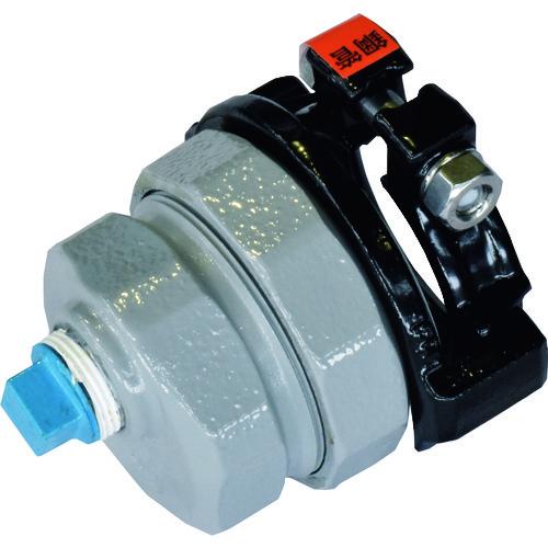 SKカワニシ 鋼管用継手 SKXパイプエンド(プラグ付)50 SKX-END-P-G50 | 