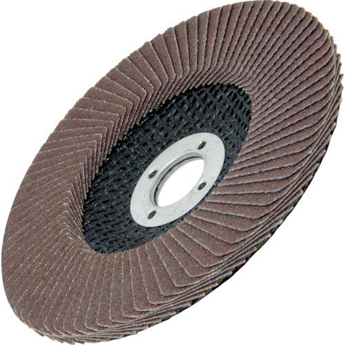 AC テクノディスク・A(Sタイプ) 外径×穴径:100×15mm 粒度(#)100 5枚 TDS10015-A-100 | イチグチ