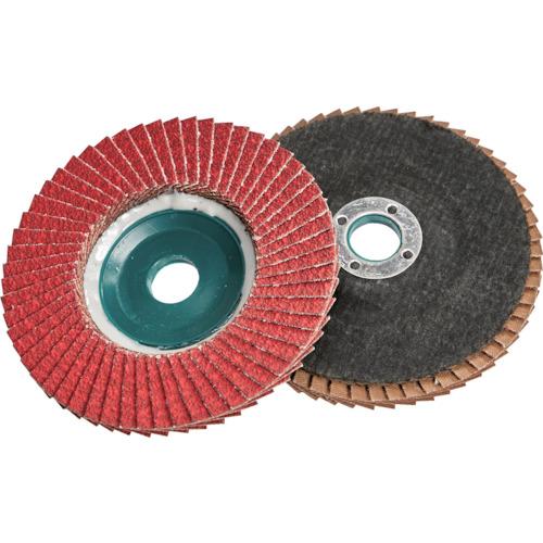 TRUSCO トクマルα セラミック Φ100 (10枚入) 60# GP-100TMAC | 