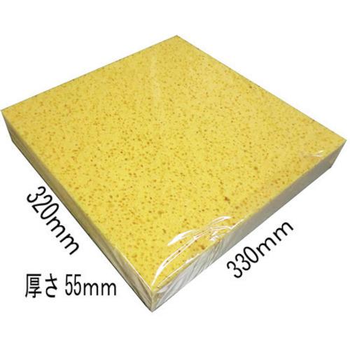 アイガーツール 特大スポンジ NO5 | 