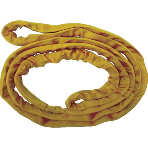 TESAC ブルースリングソフトN形(エンドレスタイプ)荷重3.2t 全長2m TBSN3.2TX2M | 