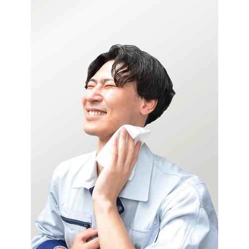 クール汗拭きクロス 北極ボディシート 詰替用 TRUSCO CSH84-C | TRUSCO中山 | 03