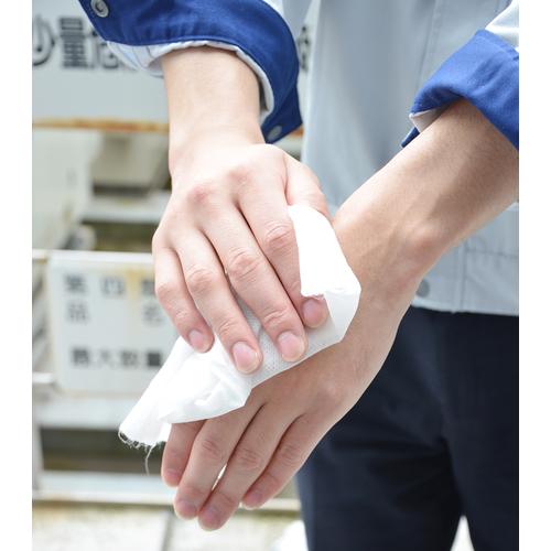 クール汗拭きクロス 北極ボディシート 詰替用 TRUSCO CSH84-C | TRUSCO中山 | 04