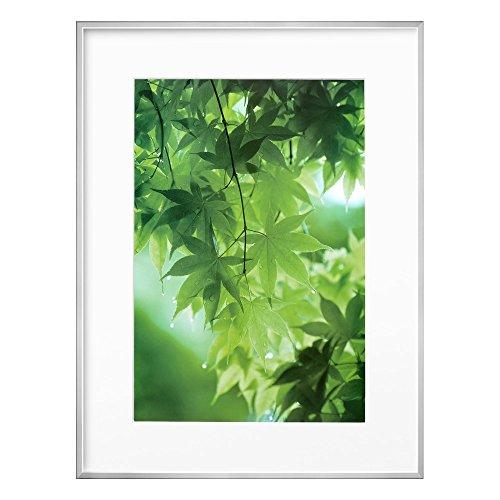 ハクバプラスチック額縁 ZEROフレームG-01（A3ノビ/シルバー）2個セット ハクバ HAKUBA 軽量 額縁 ZEROフレーム G-01 A3ノビ シルバー FZG01