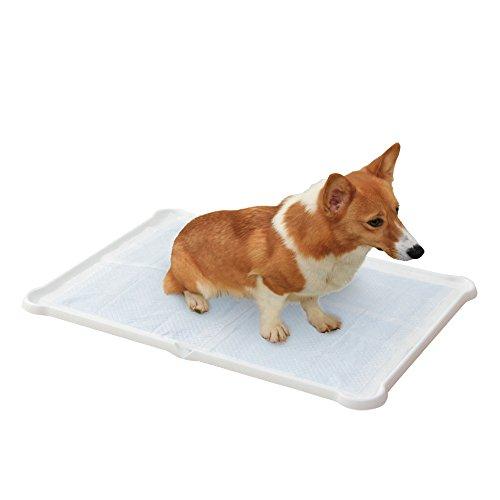 アイリスオーヤマ 犬 トイレ シーツぴたっとトレー ダブルワイド ホワイト P-SPTD | 