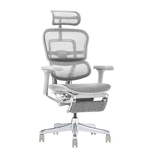 エルゴヒューマン2(ergohuman2) オフィスチェア フレーム:グレー  