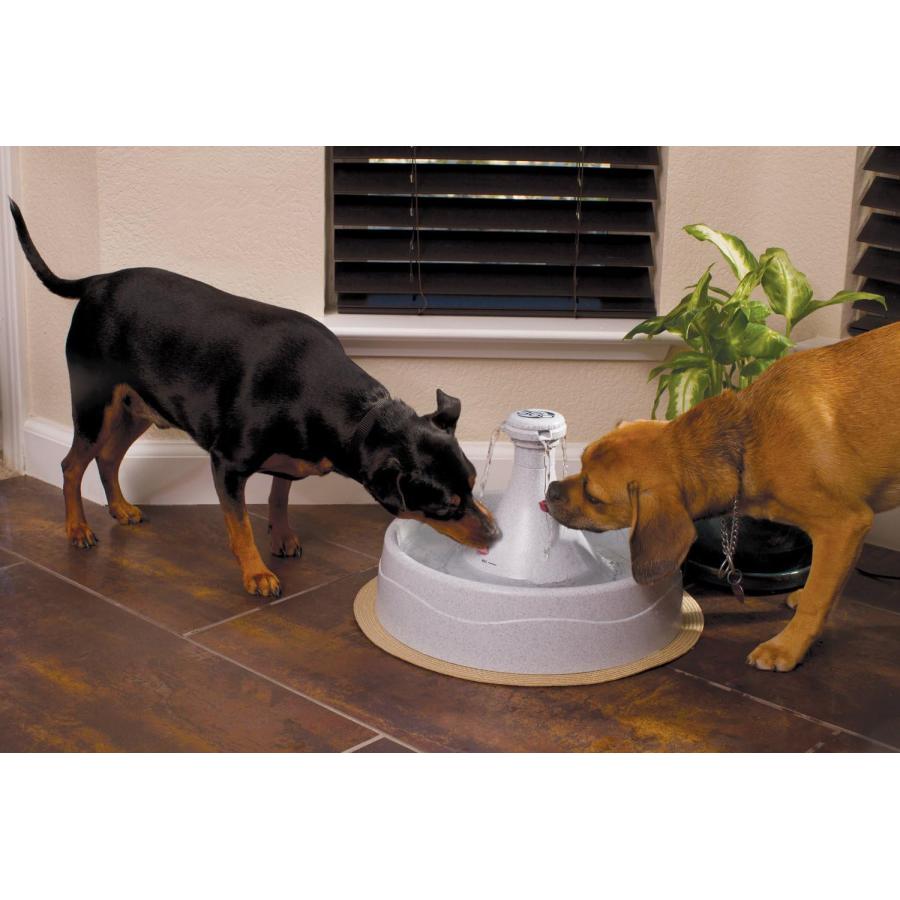 PetSafe(ペットセーフ) ドリンクウェル フォームフィルター 360 ペットファウンテン用 2個入 |  | 02